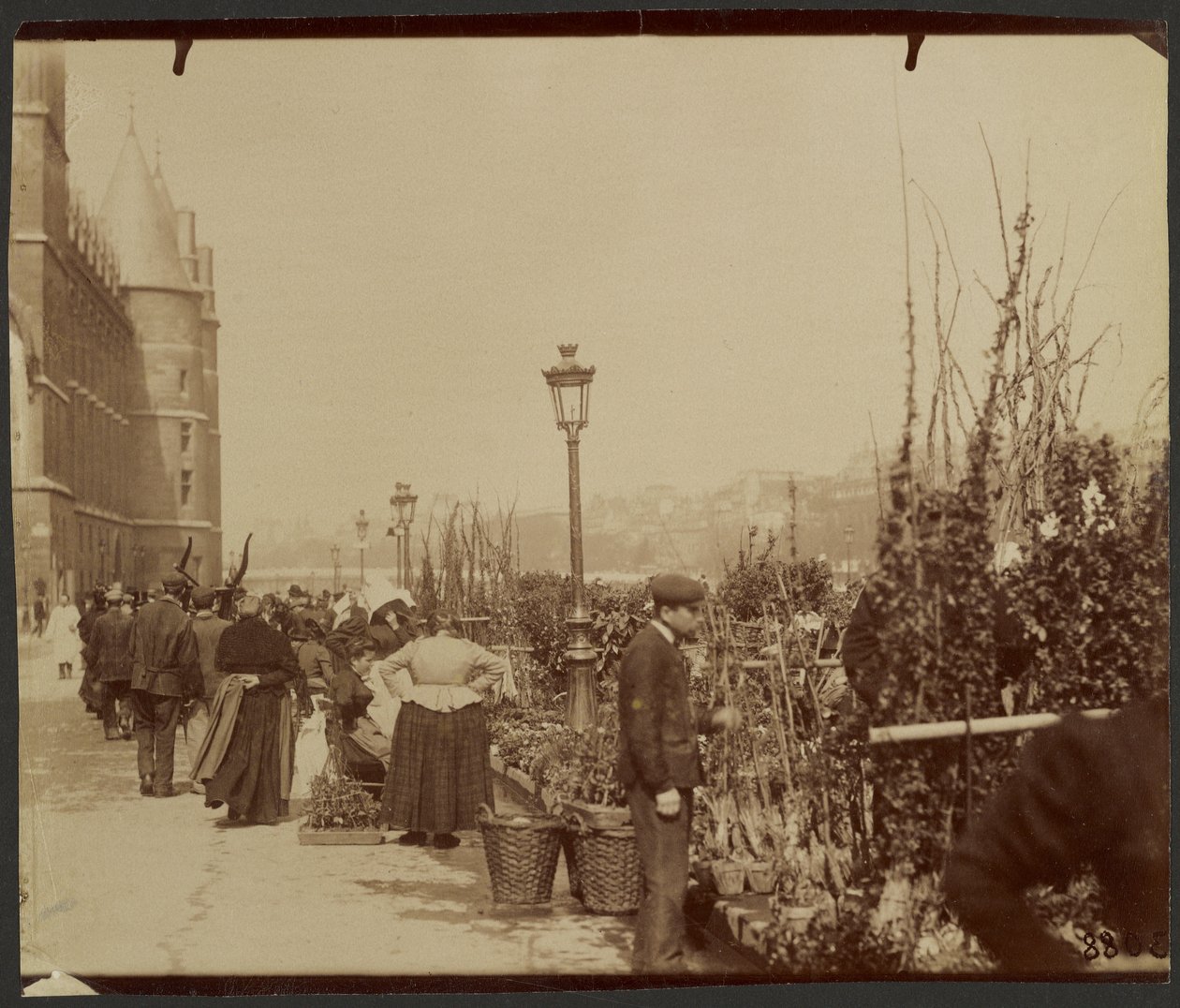 [Kukkatori] tekijältä Eugène Atget