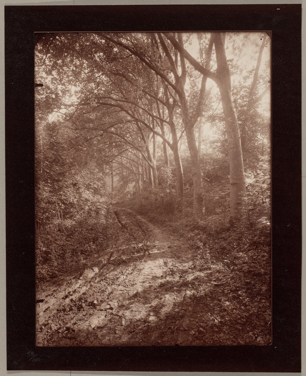 Sceaux’n puisto tekijältä Eugène Atget