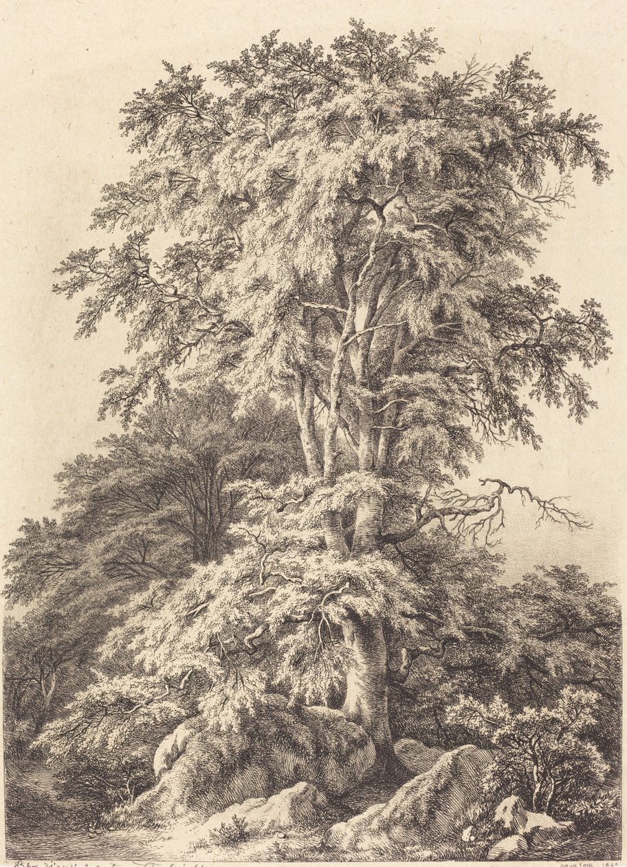 Beech Grove tekijältä Eugene Bléry