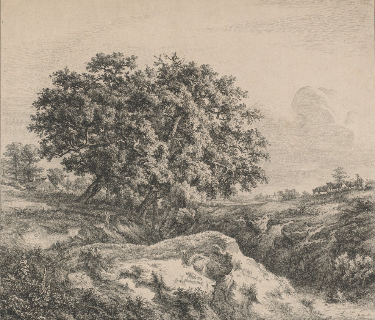 Tammi roton varrella, 1845. tekijältä Eugene Bléry
