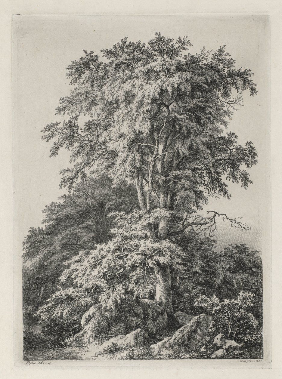 Luonnon mukaan piirrettyjä ja kaiverrettuja tutkimuksia: The Beach, Fontainbleau..., 1840. tekijältä Eugene Bléry