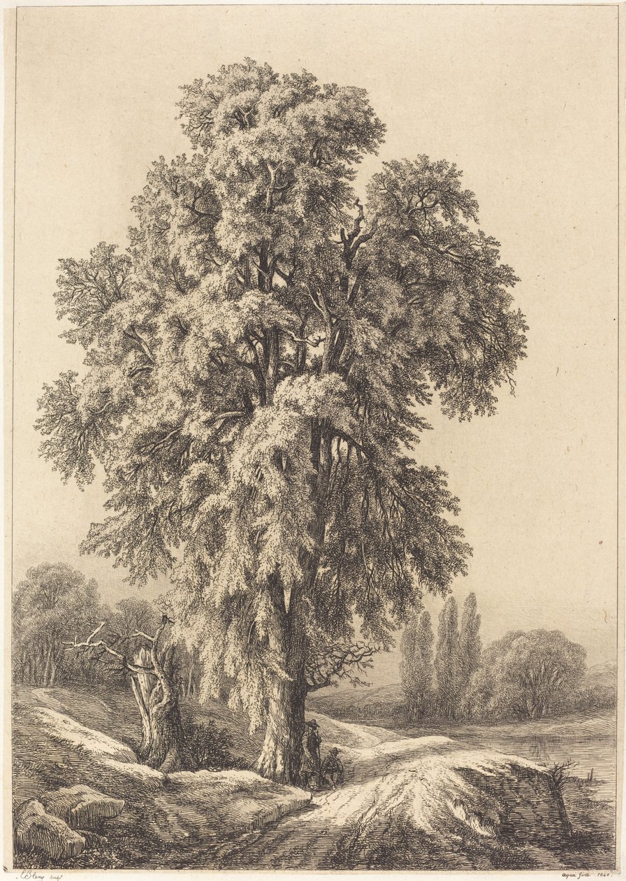 Elm Tree tekijältä Eugene Bléry