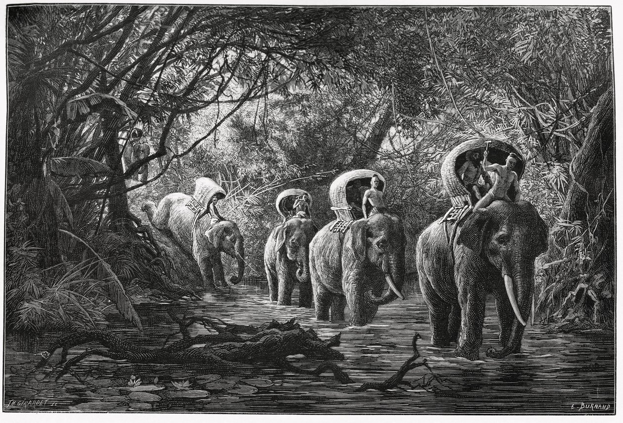 Matkalla metsään retkikunta kulkee norsun selässä. Kaiverrus Eugene Burnand, havainnollistamaan tarinaa "Matka Ylä-Laosissa", vuonna 1880, tohtori P.Neis. Julkaistu Le Tour du monde, nouveau journal des voyages, 2. lukukausi 18. tekijältä Eugene Burnand
