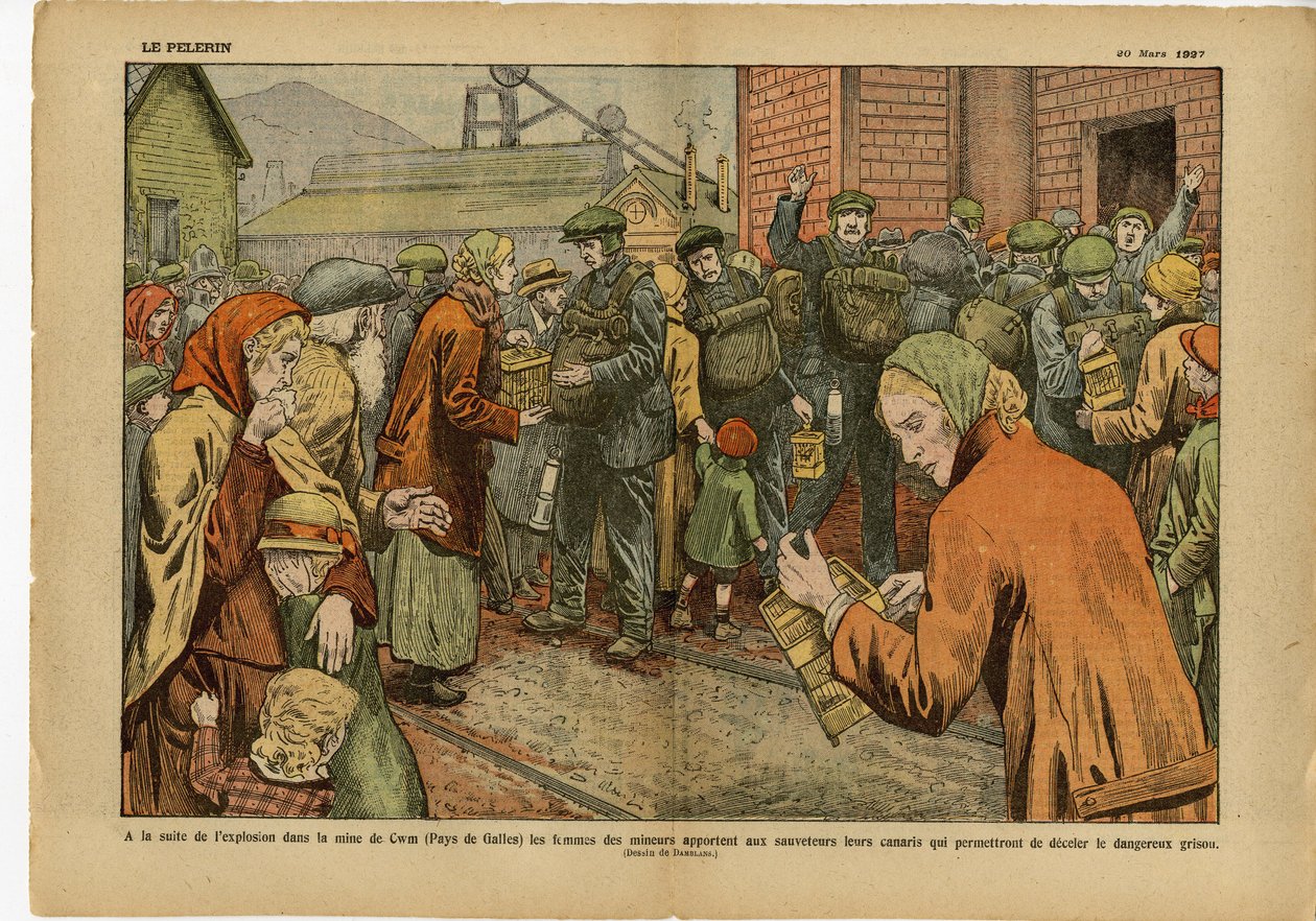 Kuvitus Eugene Damblans (1865-1945) Le Pelerin, 20/03/27 - Räjähdyksen jälkeen kaivoksessa... kaivostyöläisten naiset tuovat pelastajille kanarialintujaan, joiden avulla voidaan estää vaarallinen tulipalo - Englanti Iso-Britannia, Kaivostoiminta, Teollisuu tekijältä Eugene Damblans