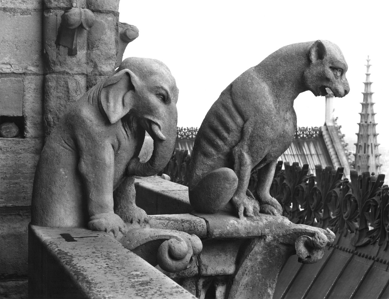 Elefantti ja leijona gargoyles Grande Galerien länsijulkisivun kaiteesta, kopio 1100-luvun alkuperäisestä (kivi) (m/v kuva) tekijältä Eugene Emmanuel Viollet le Duc