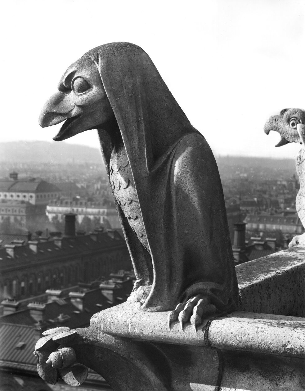 Gargoyle Grande Galerien kaiteesta, kopio 1100-luvun alkuperäisestä (kivi) (m/v kuva) tekijältä Eugene Emmanuel Viollet le Duc