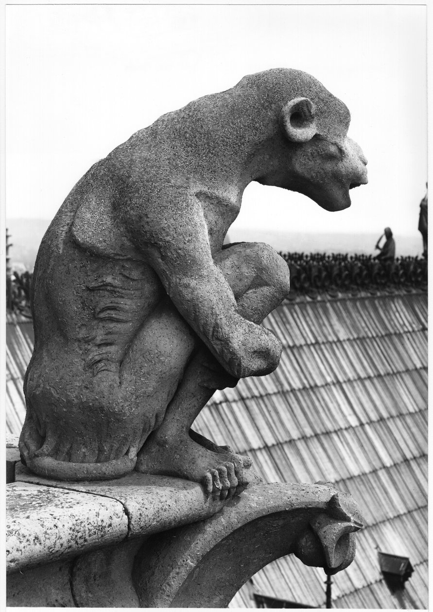 Monkey gargoyle, Grande Galerien länsijulkisivun kaiteet, kopio 1100-luvun alkuperäisestä (kivi) (m/v kuva) tekijältä Eugene Emmanuel Viollet le Duc