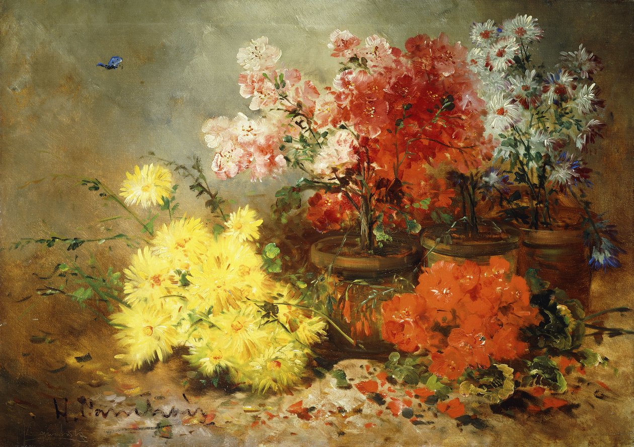 Daisies, begonia ja muut kukat ruukuissa, tekijältä Eugene Henri Cauchois