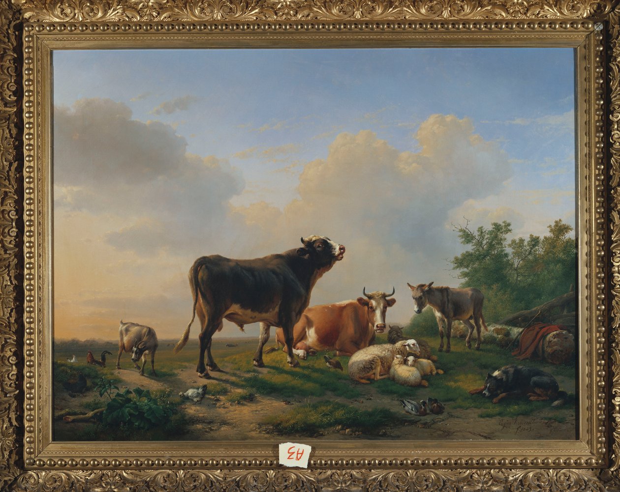 Härkä, lehmä, aasi, vuohi, lampaat ja siipikarja laajassa maisemassa, 1849 tekijältä Eugene Joseph Verboeckhoven