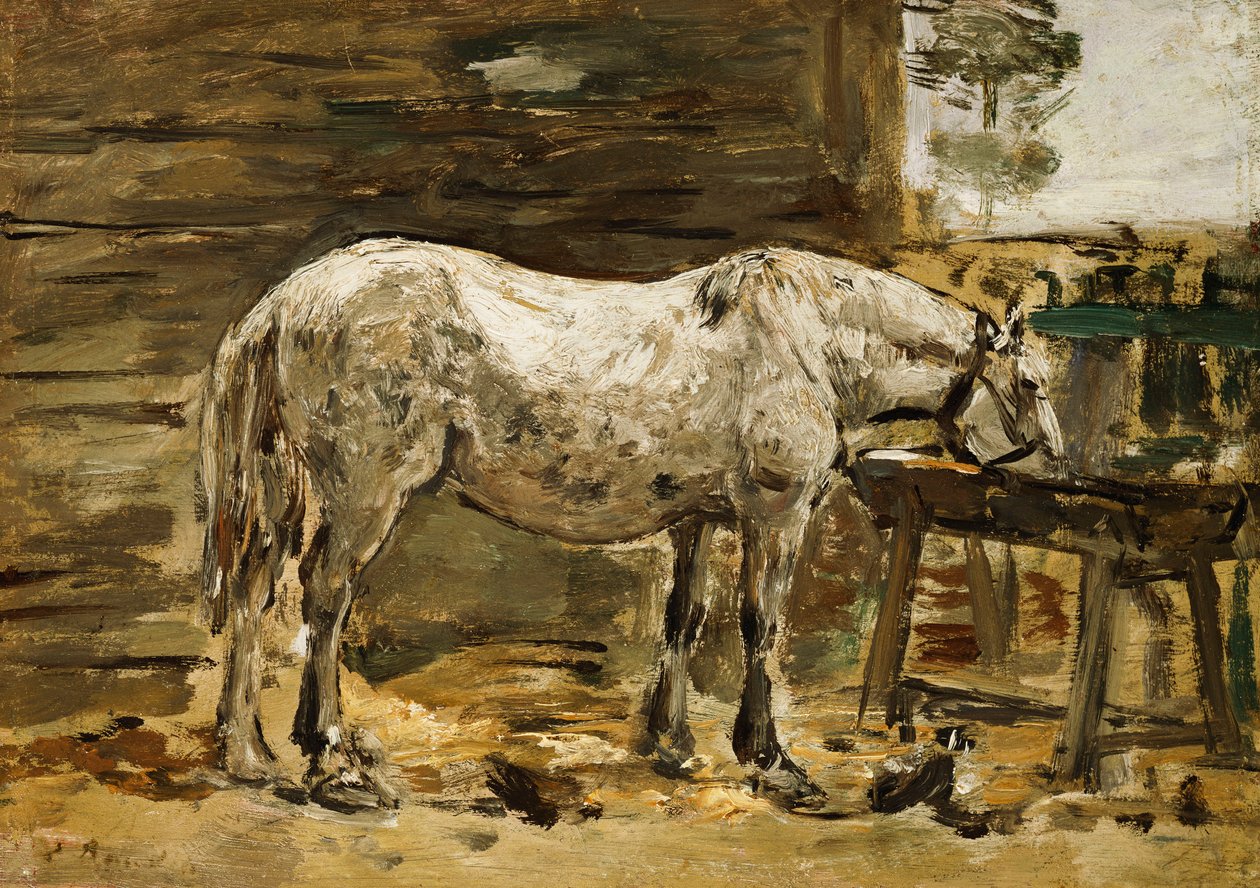 Valkoinen hevonen juomakaukalossa, n. 1885-1890 tekijältä Eugene Louis Boudin