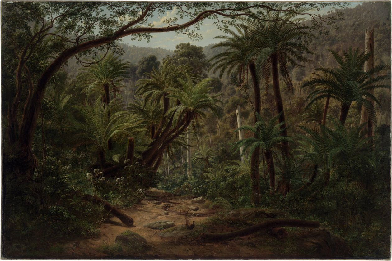 Ferntree Gully Dandenongin alueella tekijältä Eugene von Guérard