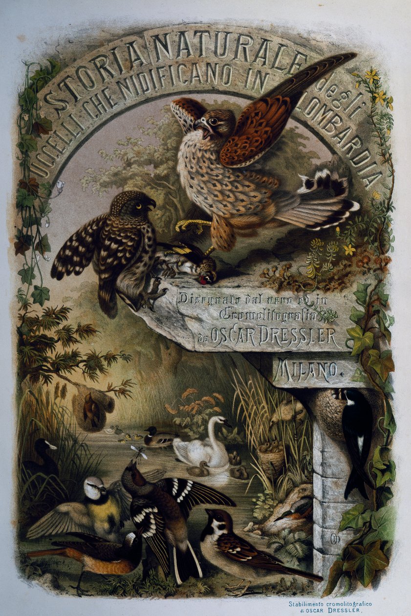 Eugenio Bettonin (1845-1898) Lombardiassa pesivien lintujen luonnonhistorian nimisivu, kaiverrus Oscar Dressler, Italia tekijältä Eugenio Bettoni, Oscar Dressler