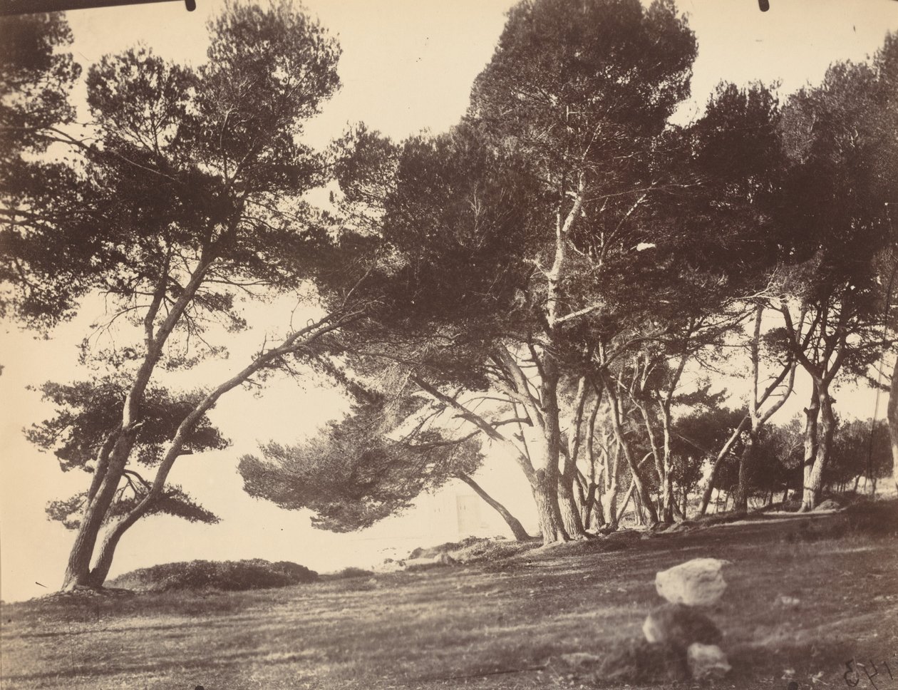 Cannes, Saint Honoratin saari tekijältä Eugène Atget