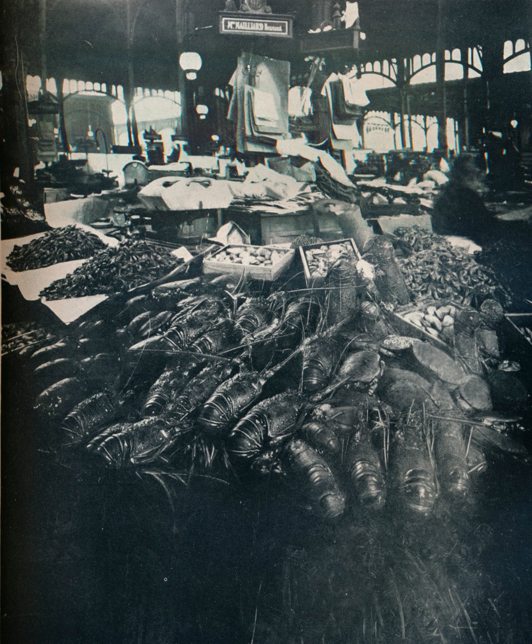 Kalamarkkinat, c1877-1927, 1929 tekijältä Eugène Atget
