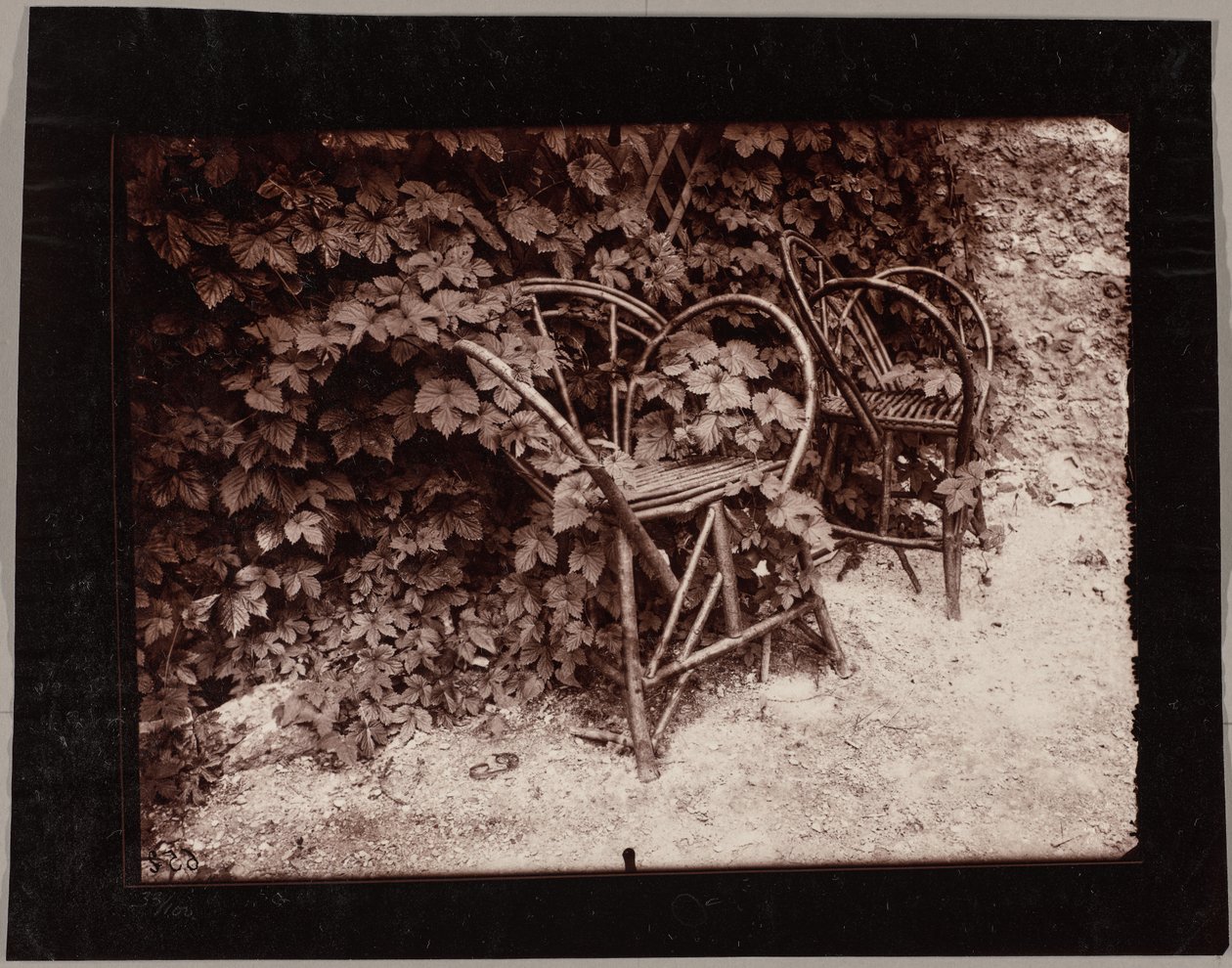 Humala tekijältä Eugène Atget