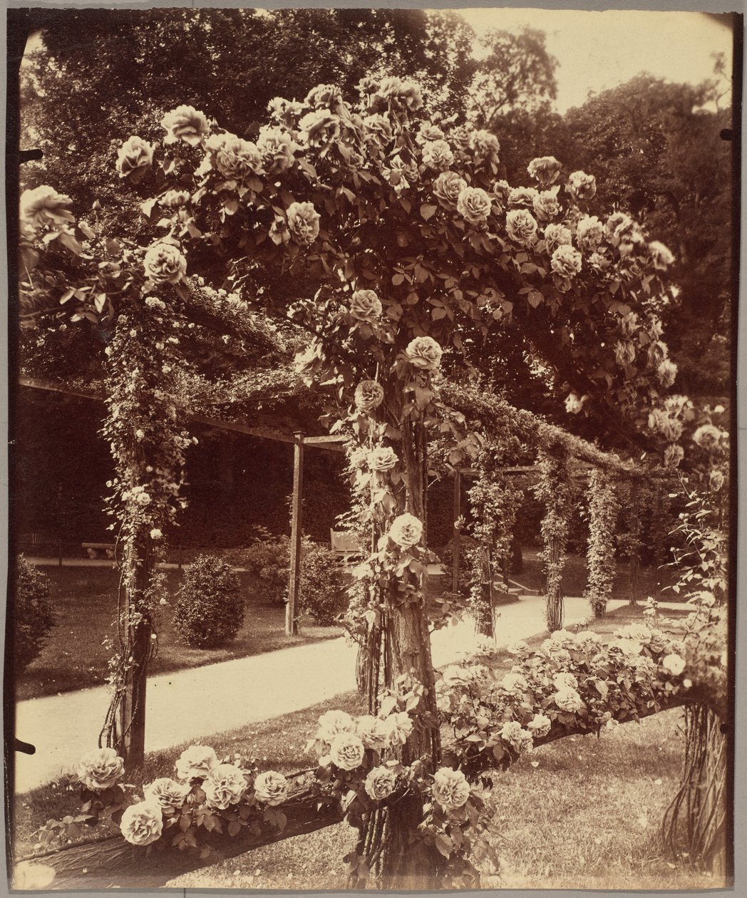 [Jardin de Bagatelle] tekijältä Eugène Atget
