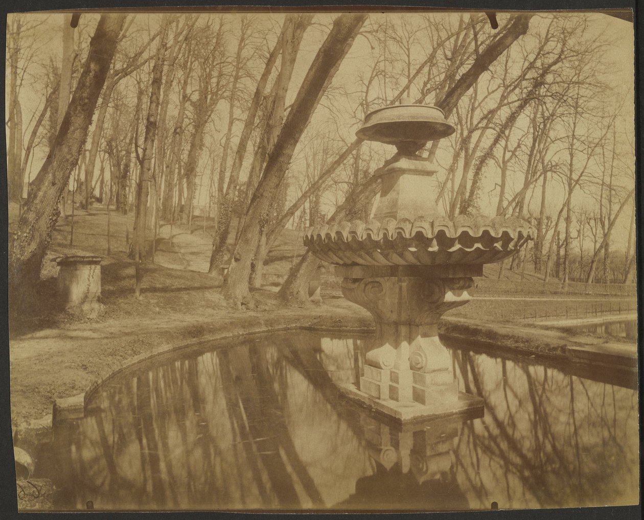 Parc de Saint Cloud (Saint Cloudin puisto) tekijältä Eugène Atget