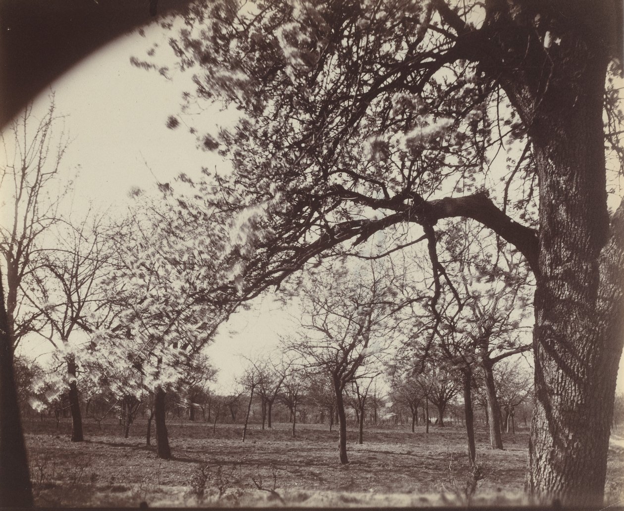 Poirier tekijältä Eugène Atget
