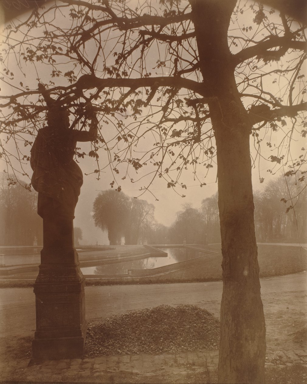 Saint-Cloud tekijältä Eugène Atget