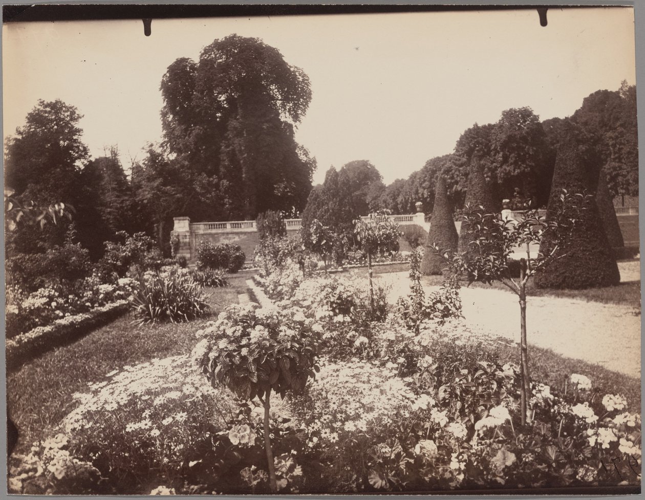 Saint-Cloud tekijältä Eugène Atget