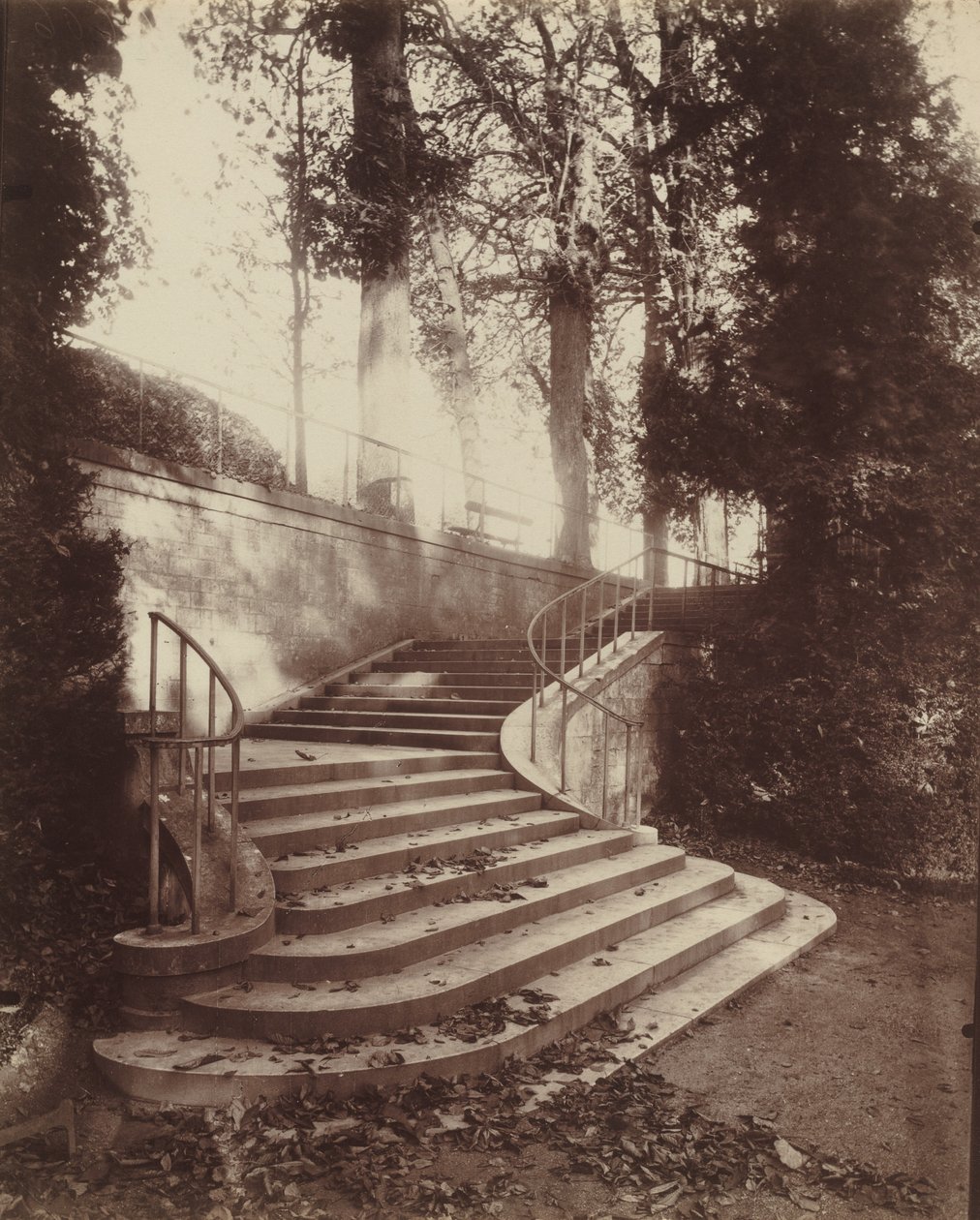 Saint-Cloudin portaat tekijältä Eugène Atget