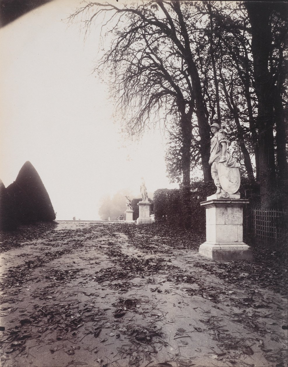 Versailles, Allee des Trois Fontaines, n. 1906 (kultakloridiprintti) tekijältä Eugène Atget