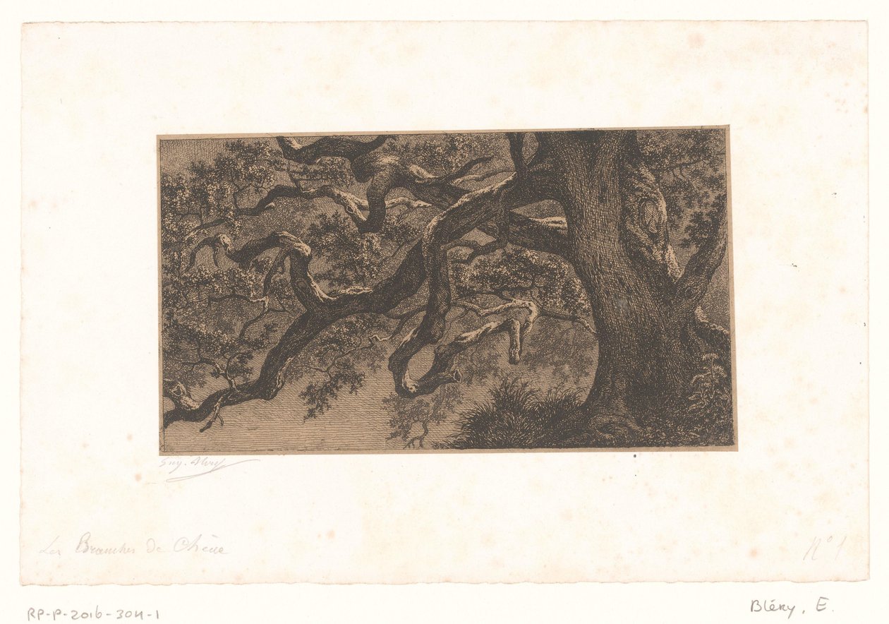Kastanjetakken Oak Branches (otsikko esineessä) Pienet näkymät Fontainebleaun metsään (sarjan nimi) tekijältä Eugène Bléry (signed by artist)