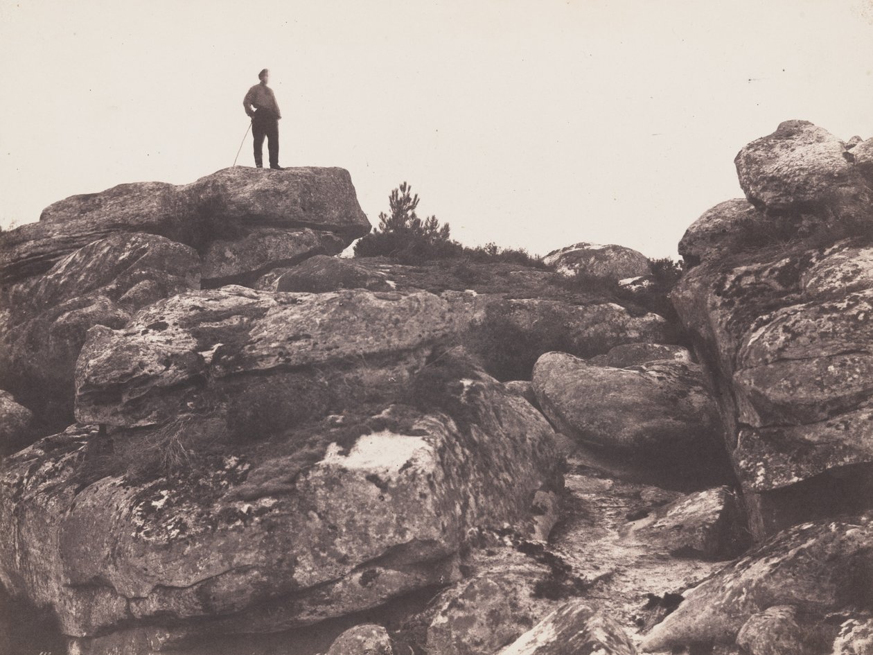 Franchard Gorges - Fontainebleaun metsä (Franchard Gorges - Fontainebleaun metsä) tekijältä Eugène Cuvelier