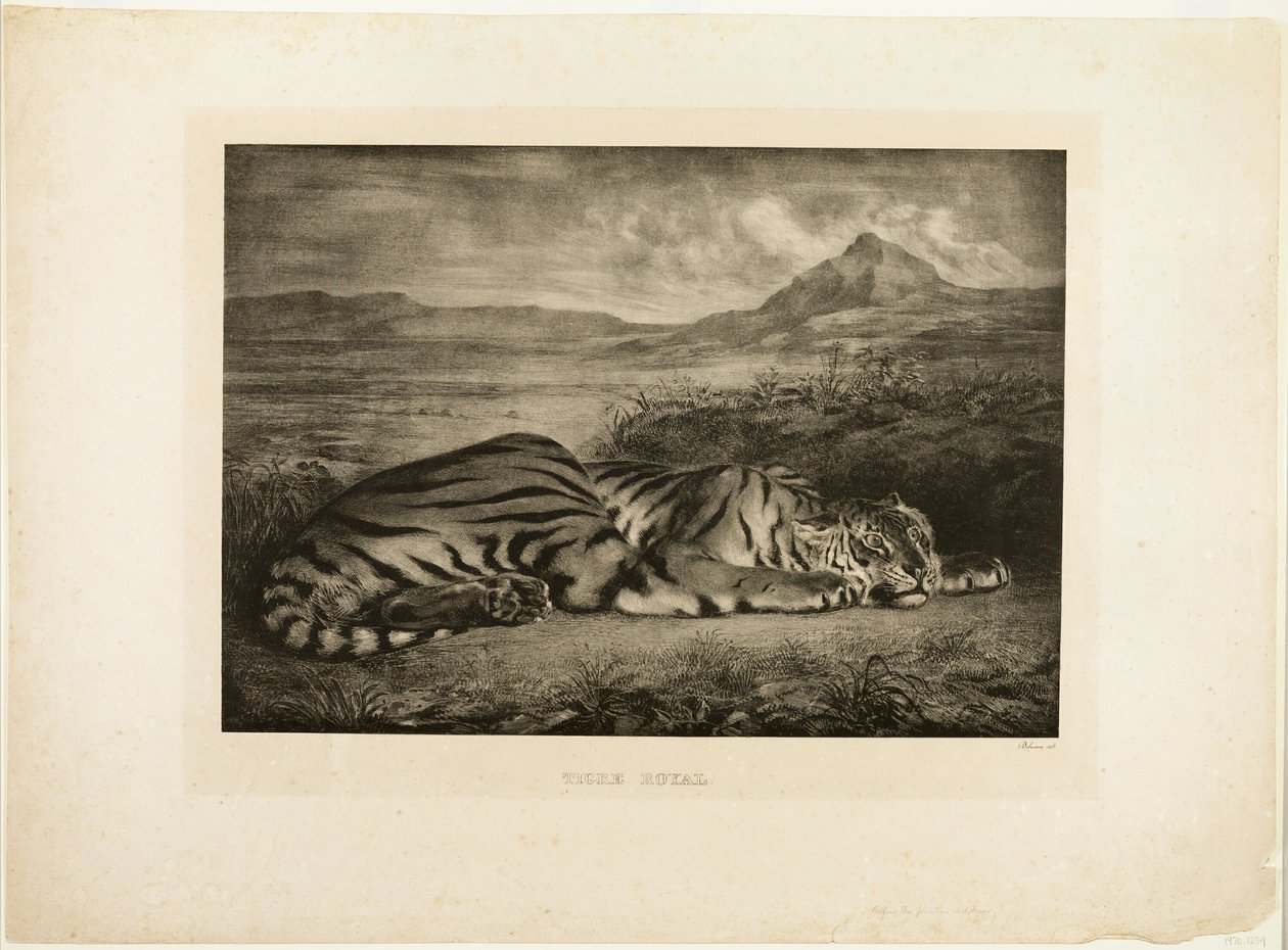 Bengalin tiikeri tekijältä Eugène Delacroix