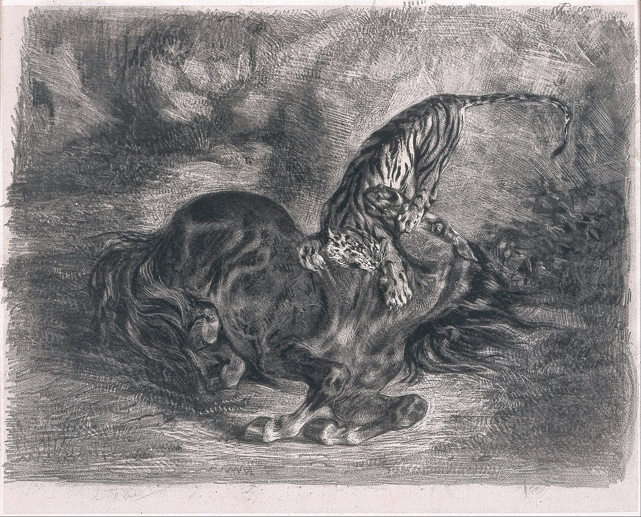 Cheval sauvage terrassé par un tigre tekijältä Ferdinand Victor Eugene Delacroix