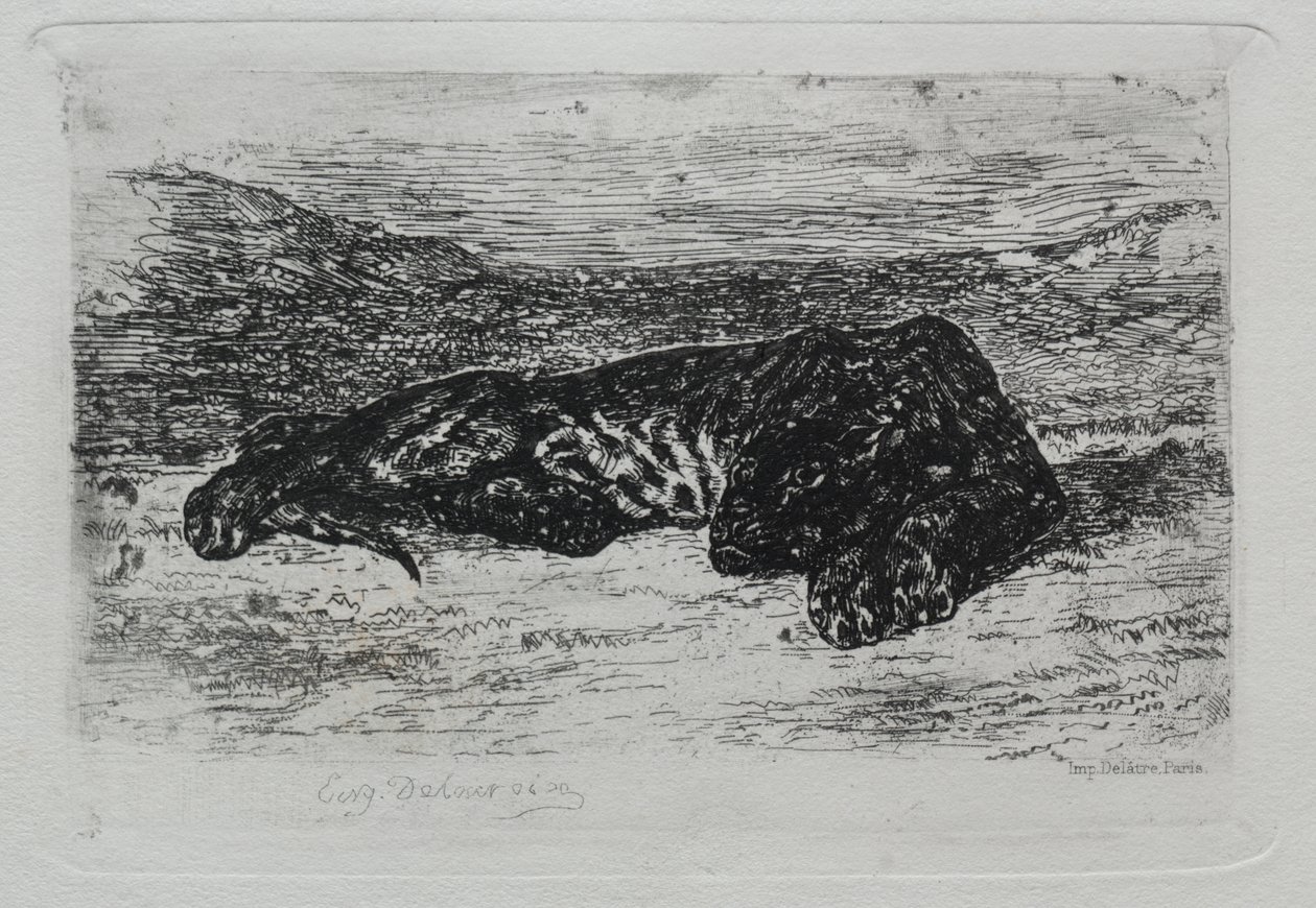 Hiipivä tiikeri autiomaassa tekijältä Eugène Delacroix
