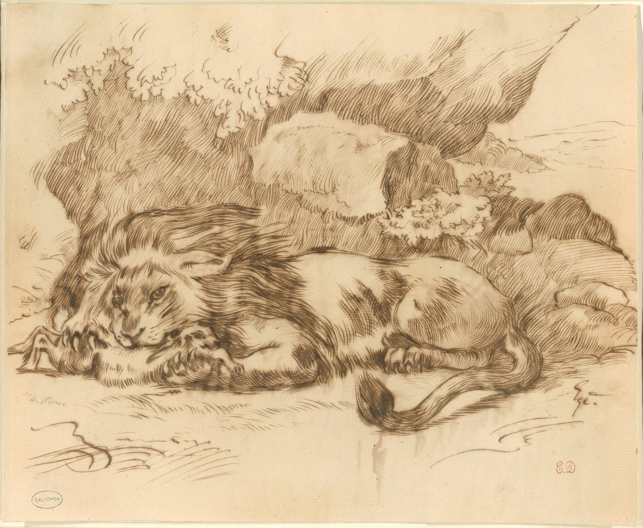 Leijona syö jäniä tekijältä Eugène Delacroix