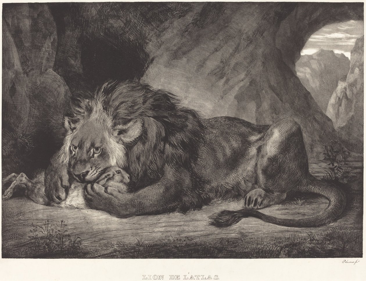 Atlasvuorten leijona (Lion de l