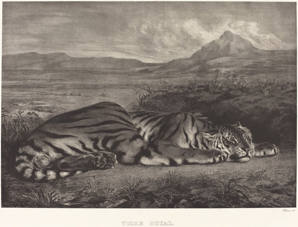 Royal Tiger Tigre Royal, 1829. tekijältä Eugène Delacroix