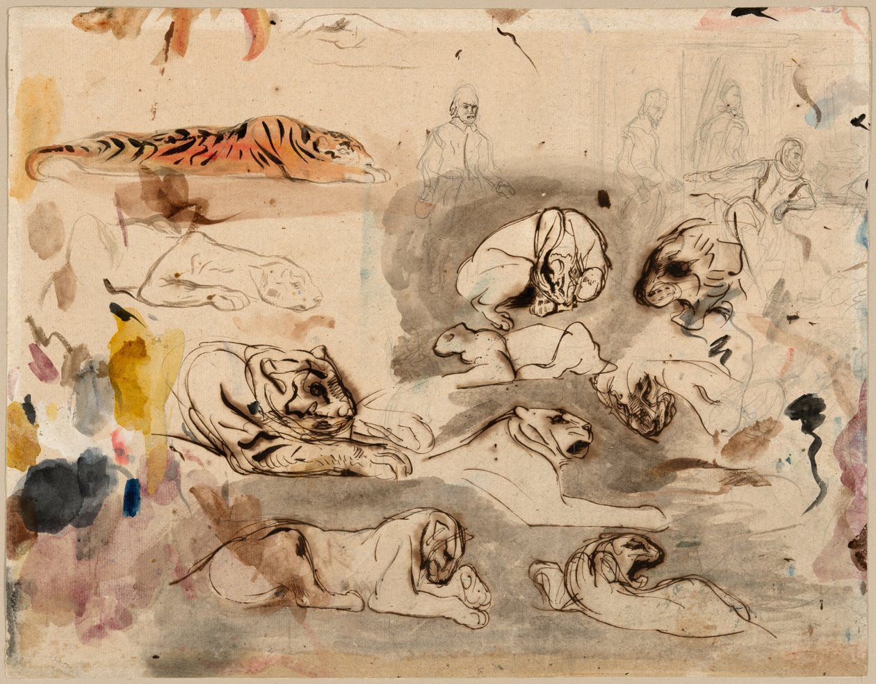 Luonnoksia tiikereistä ja miehistä 1500-luvun asussa tekijältä Eugène Delacroix