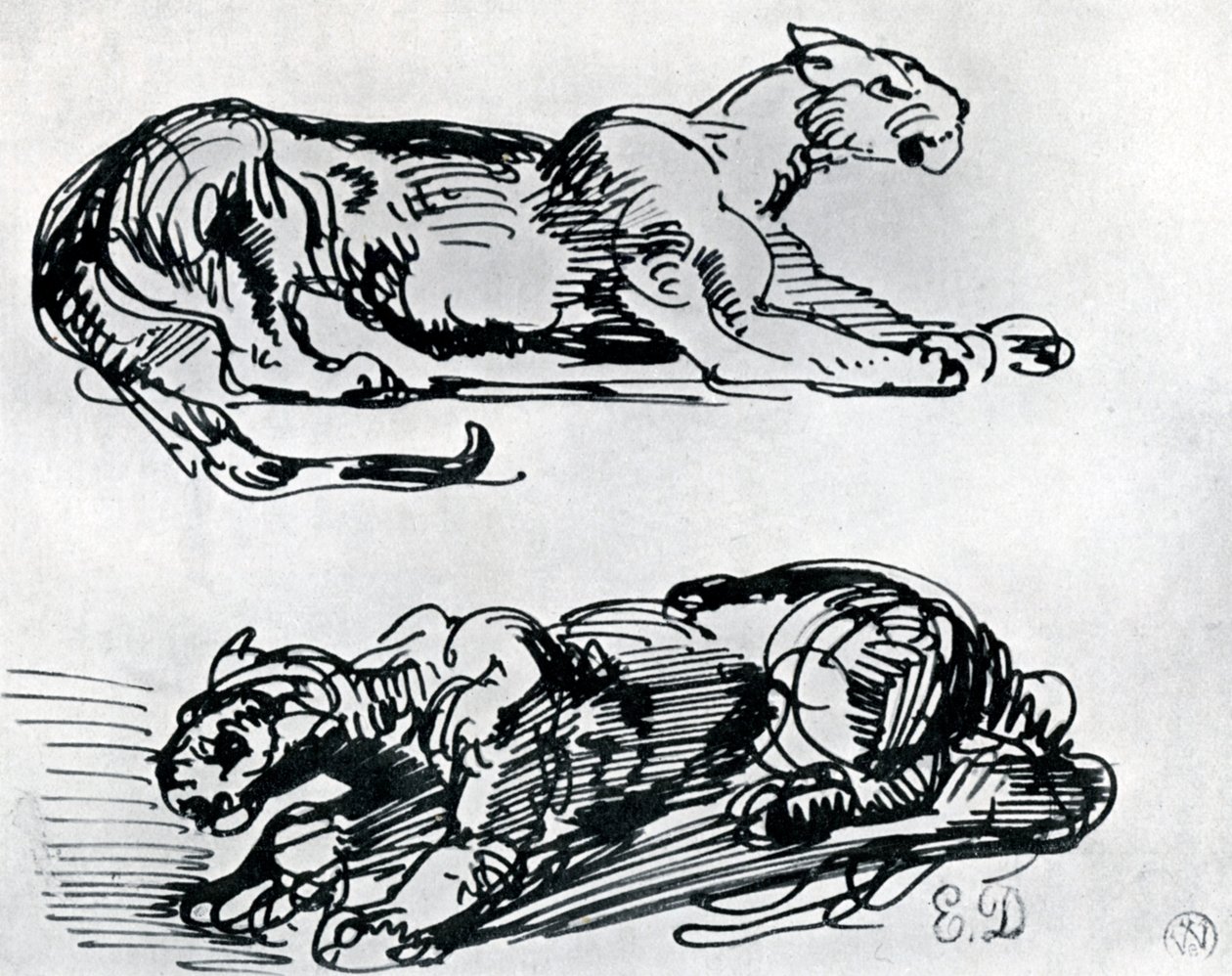 Studies of Panthers, 1913 tekijältä Ferdinand Victor Eugene Delacroix