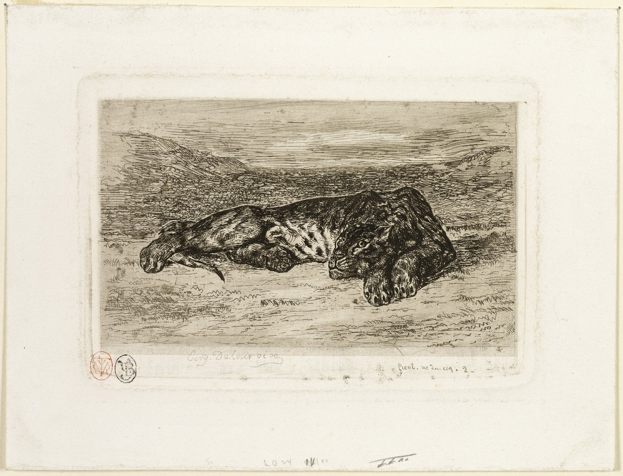 Tiikeri lepää autiomaassa tekijältä Eugène Delacroix