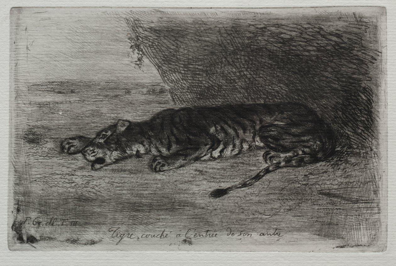 Tiikeri nukkuu pesänsä sisäänkäynnissä tekijältä Eugène Delacroix