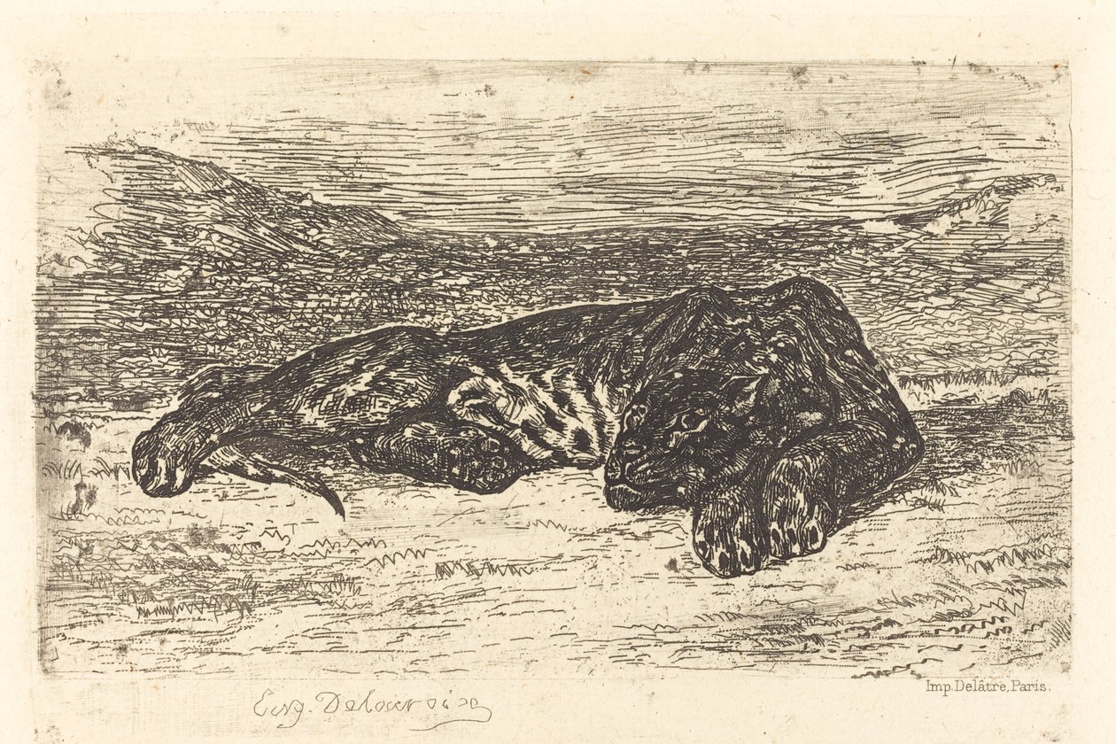Tiger Sleeping in the Desert Tiger Sleeping in the Desert, 1846. tekijältä Eugène Delacroix