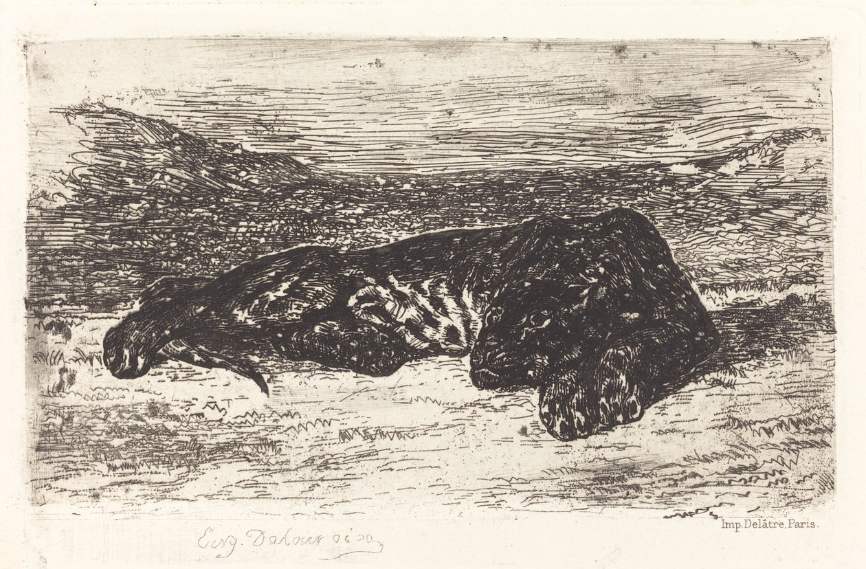 Tiger Sleeping in the Desert, n. 1830. tekijältä Eugène Delacroix
