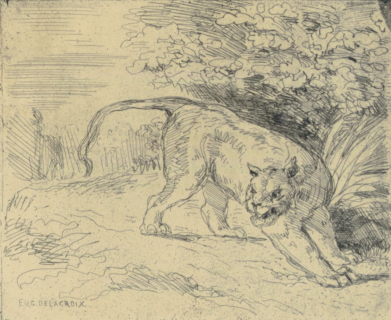 Tigre en Arrêt tekijältä Eugène Delacroix