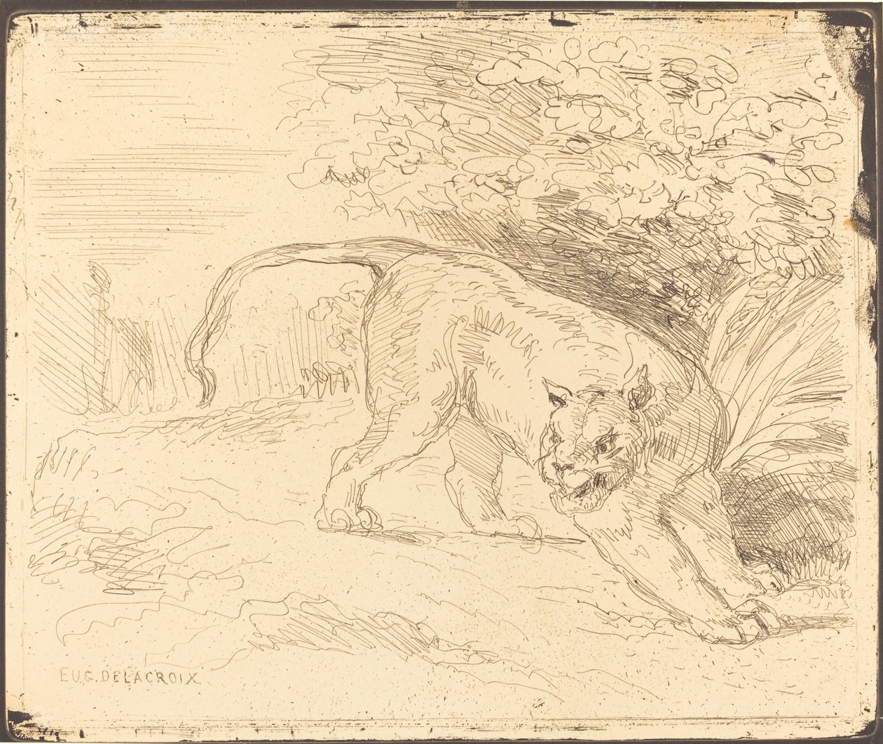 Tiikeri pysäkillä tekijältä Eugène Delacroix