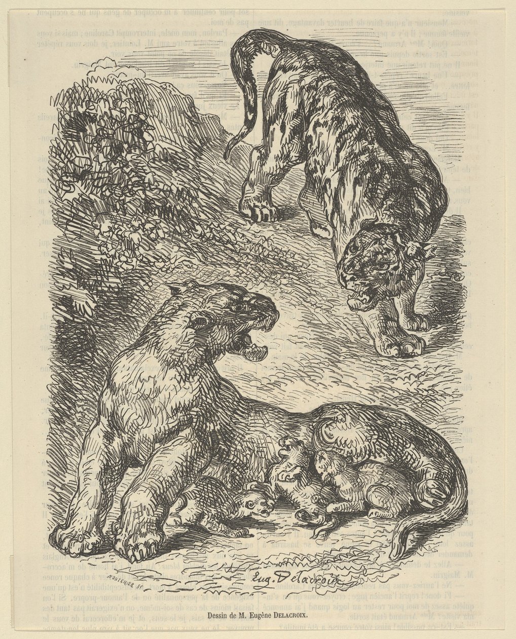 Tiikeri hyökkäsi tiikeriin imettäessään poikaansa, 1853, 1853. tekijältä Eugène Delacroix