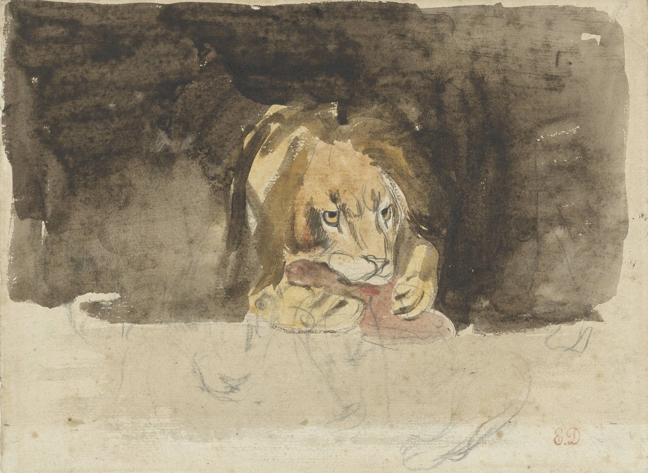 Lihansyöjäleijona edestä katsottuna, tuleva ulos tummaa taustaa vasten tekijältä Eugène Delacroix
