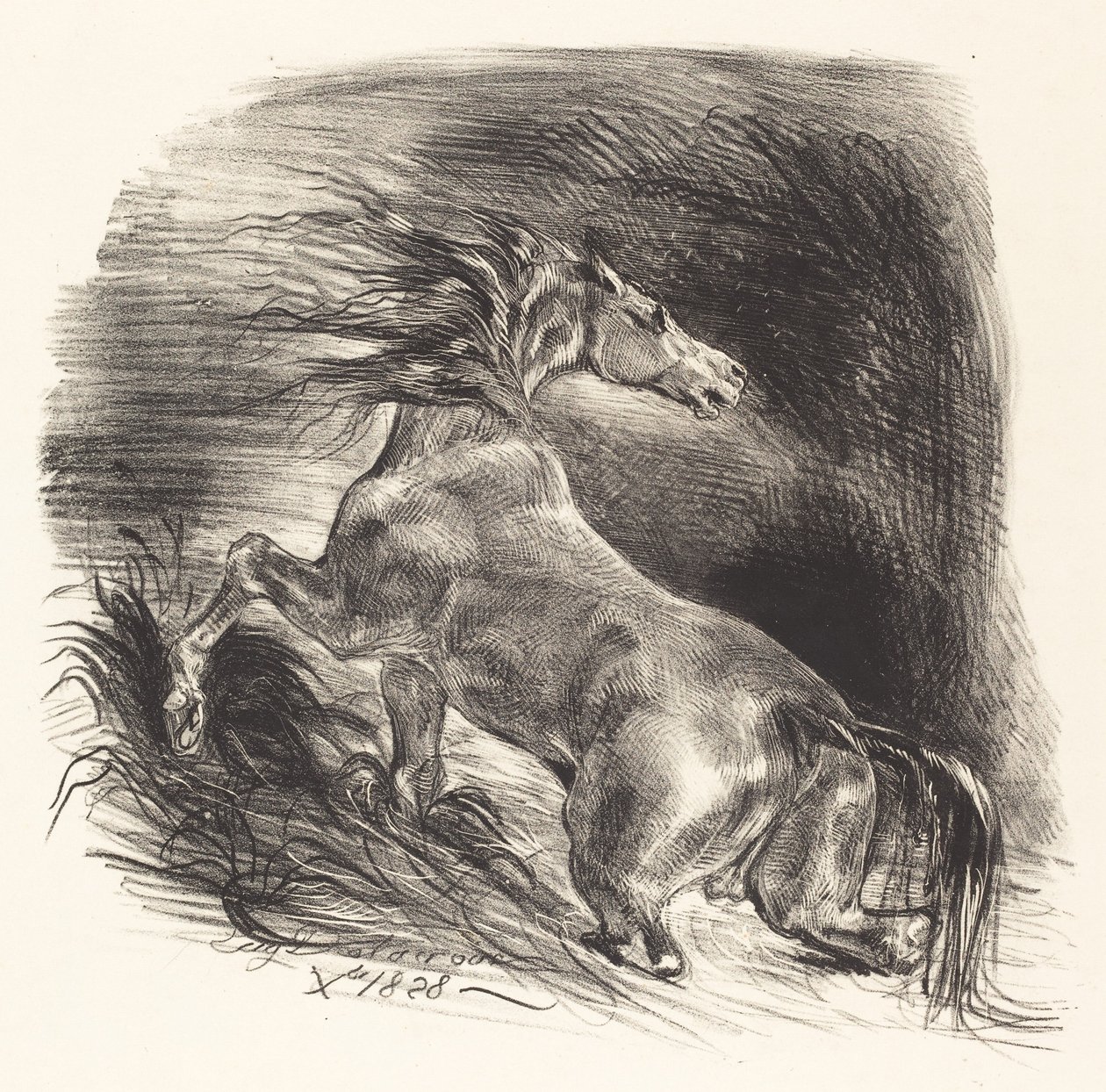 Villihevonen tulossa vedestä (Cheval sauvage) tekijältä Eugène Delacroix