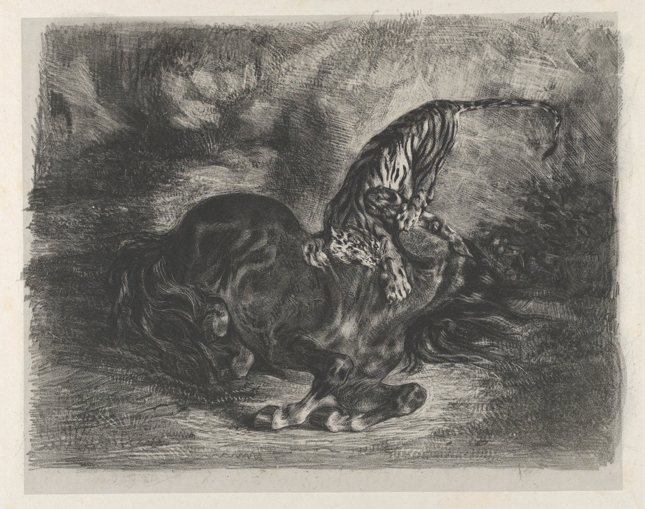 Tiikerin kaatama villihevonen, 1828, 1828. tekijältä Eugène Delacroix