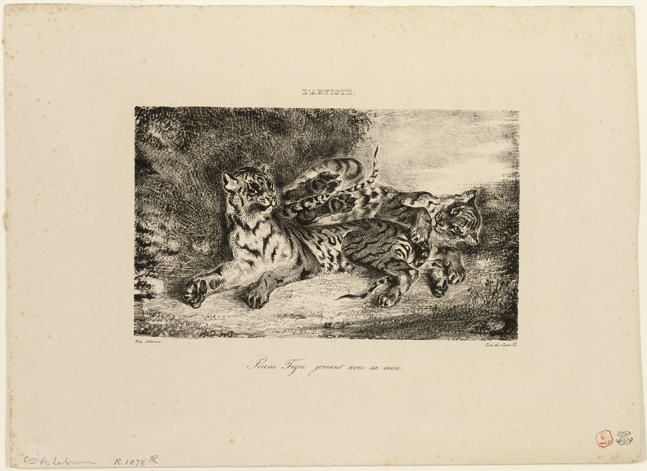 Nuori tiikeri leikkii äitinsä kanssa tekijältä Eugène Delacroix