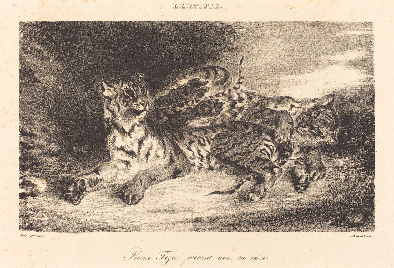 Nuori tiikeri leikkii äitinsä kanssa tekijältä Eugène Delacroix