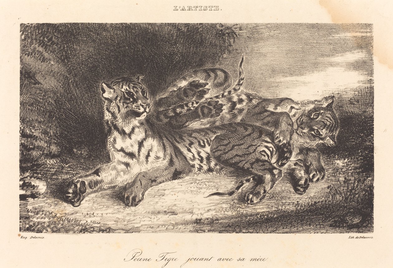 Nuori tiikeri leikkii äitinsä kanssa Nuori tiikeri leikkii äitinsä kanssa, 1831. tekijältä Eugène Delacroix