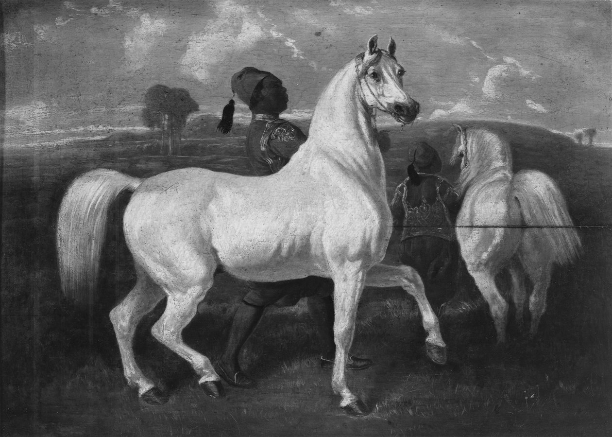 Arabian hevoset, 1800-luku tekijältä Eugène Fromentin